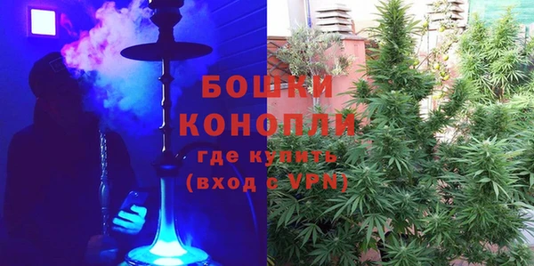 метадон Сафоново