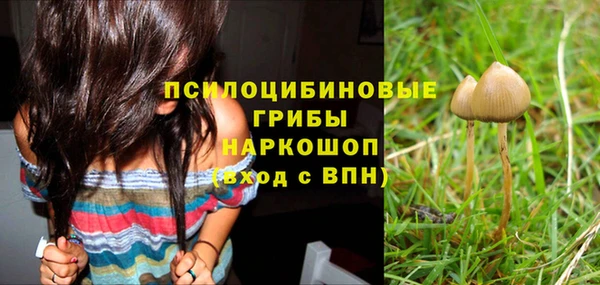 гидропоника Абинск