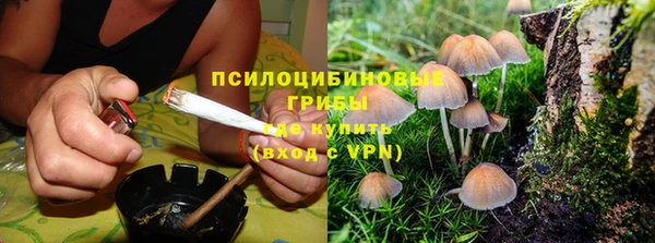 apvp Абдулино