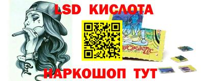прущие грибы Гудермес