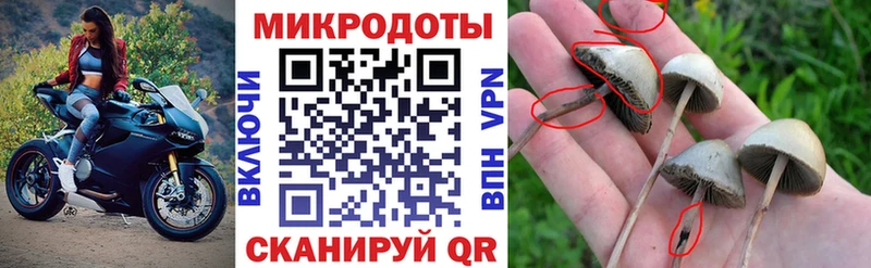 Галлюциногенные грибы прущие грибы  Богородицк 