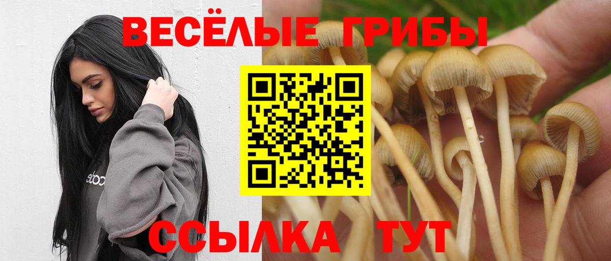 Богородицк  Галлюциногенные грибы Psilocybine cubensis  Галлюциногенные грибы MAGIC MUSHROOMS  Вход с VPN 